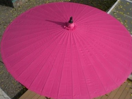 Parasol Rose