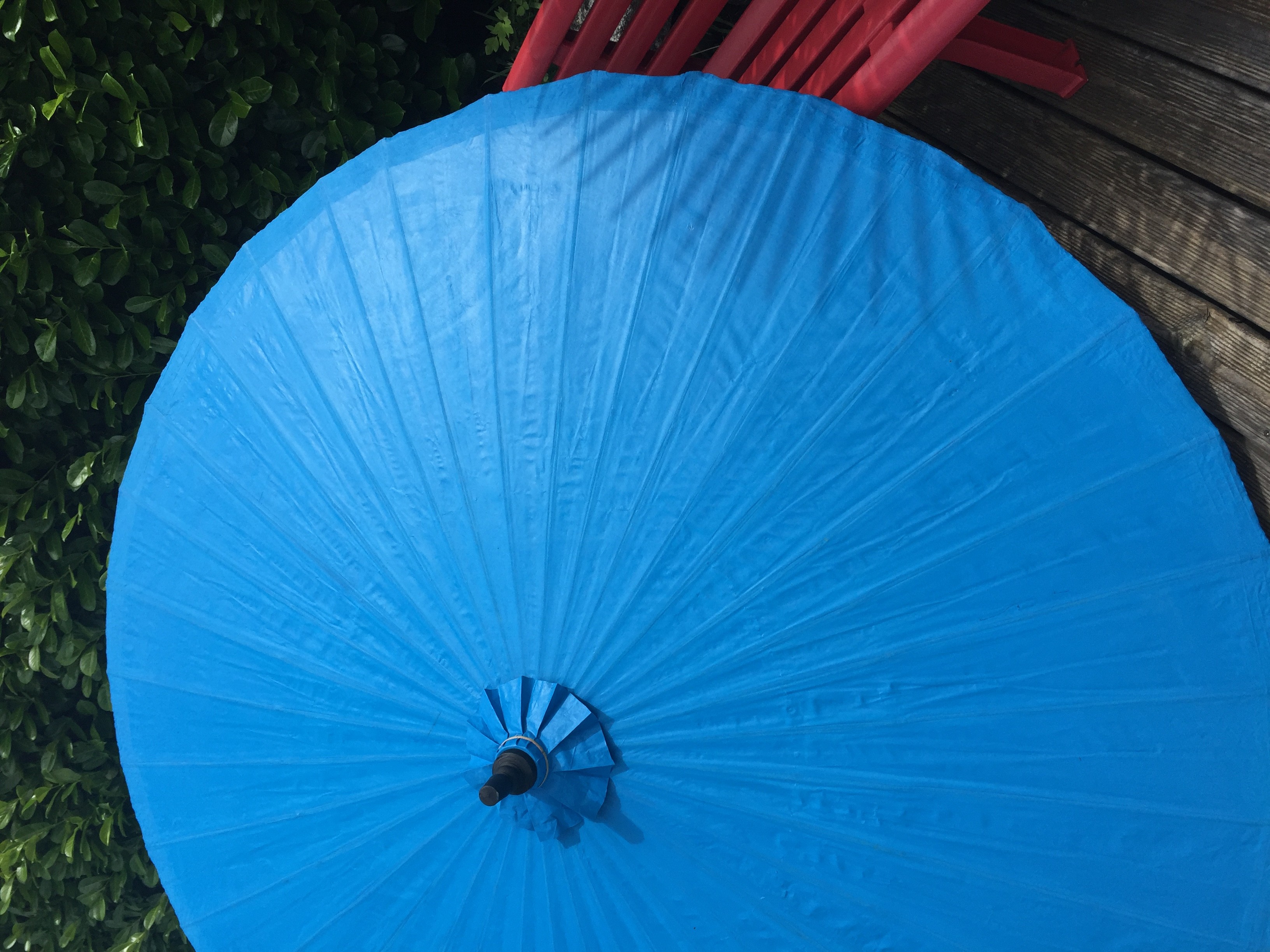 Parasol Bleu